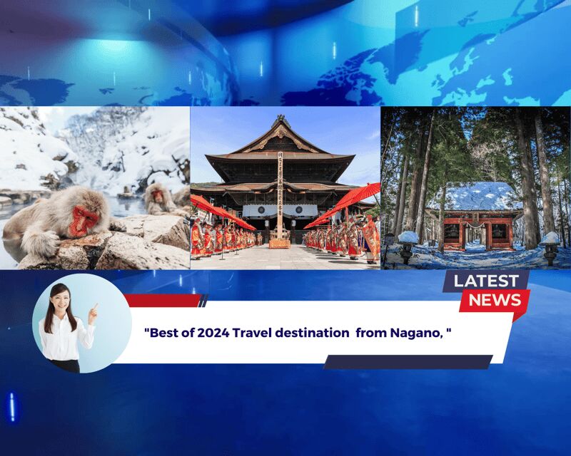 Nagano: Cute & Eccentric Snow Monkeys Half-Day Private Tour - Who Is This Tour Best For?