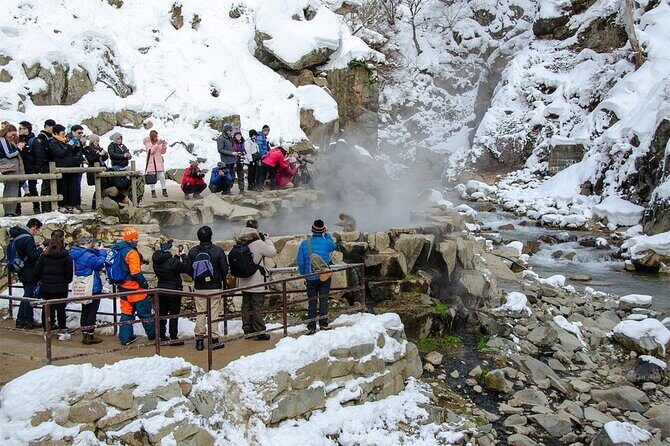 Nagano Day Tour from Tokyo Zenko Ji Temple and Snow Monkeys - Who Is This Tour Best For?