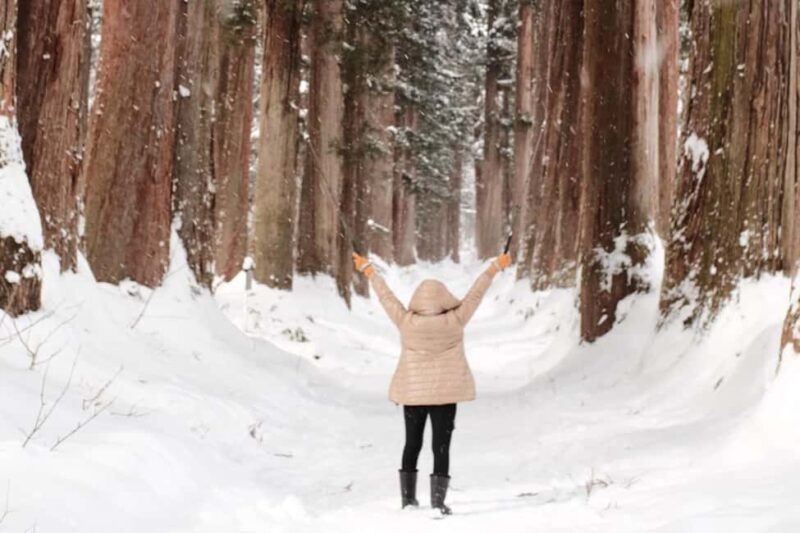 Nagano: Half-Day Private Tour Togakushi Shrine - Key Points
