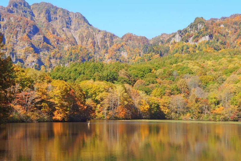 Nagano: Half-Day Private Tour Togakushi Shrine - The Value of the Tour