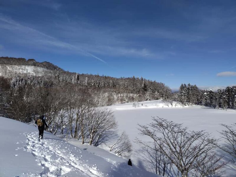 Nagano Iiyama : Snowshoe Hike a half-day, Nozawa, Madarao - The Return Journey and Practicalities