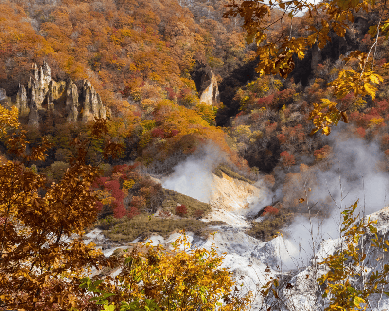 nagano-myoko-jigokudani-snow-monkey-park-with-private-car