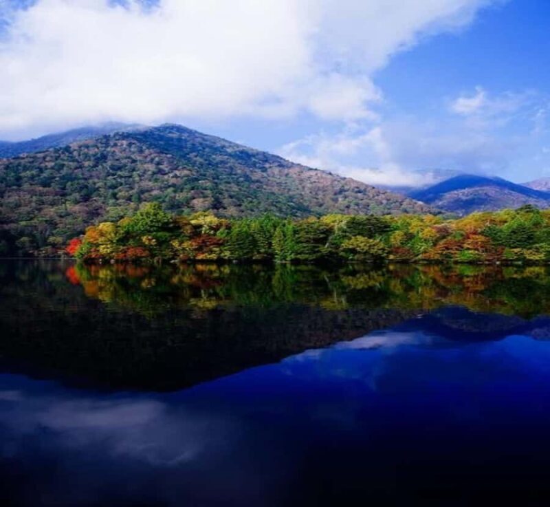 Nagano: Nikko Private Full-day Tour with Temples & Shrines - Frequently Asked Questions