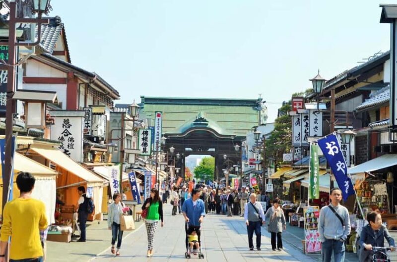 Nagano: Private snow monkey Tour in Luxury car - Final Thoughts