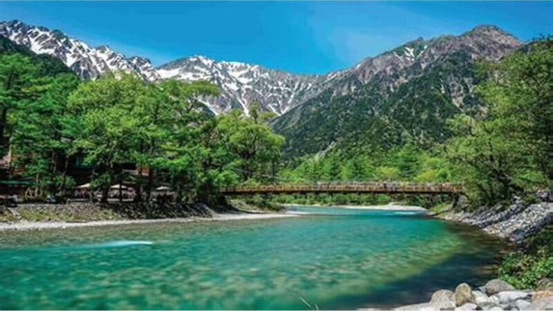 Nagano: private Tour with Snow Monkey Park & Zenko-ji Temple - Real Travelers’ Insights