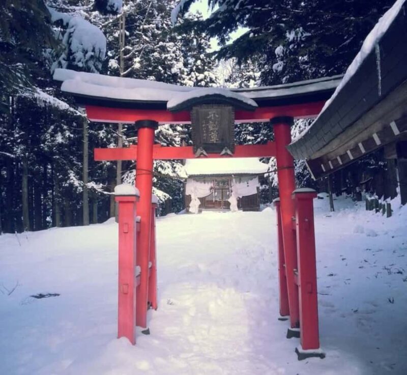 Nagano Private Tour with Snow Monkeys & Zenko-ji Temple - Cost & Overall Value