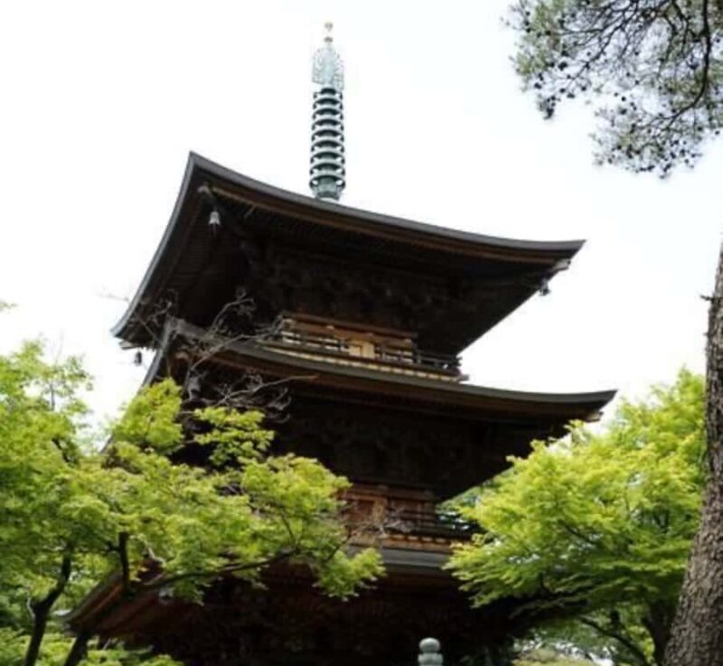 Nagano Private Tour with Snow Monkeys & Zenko-ji Temple - The Sum Up