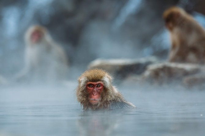 nagano-private-two-day-tour