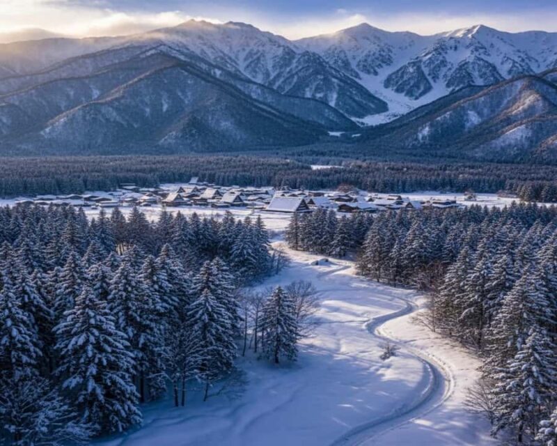 Nagano: Snow Monkey Park Full-Day Guided Private Tour - FAQ