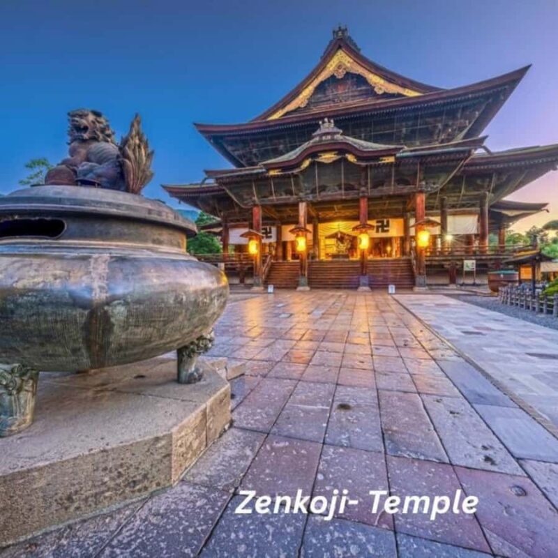 Nagano: Snow Monkey Park Full Day Tour Fully Customizable - Who Should Consider This Tour?