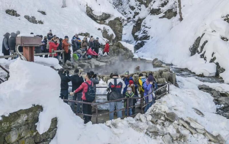 Nagano: Snow Monkey Private Day Tour with Driver from Tokyo - The Sum Up