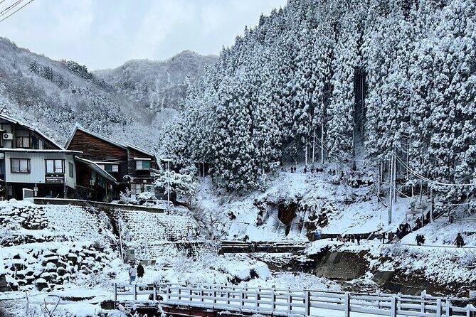 Nagano Snow Monkey Private Full-Day Tour - Exploring the Itinerary in Detail