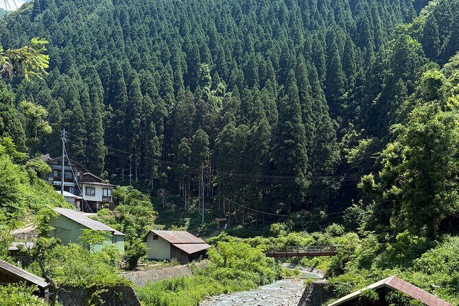 Nagano Snow Monkey Private Full-Day Tour - FAQ