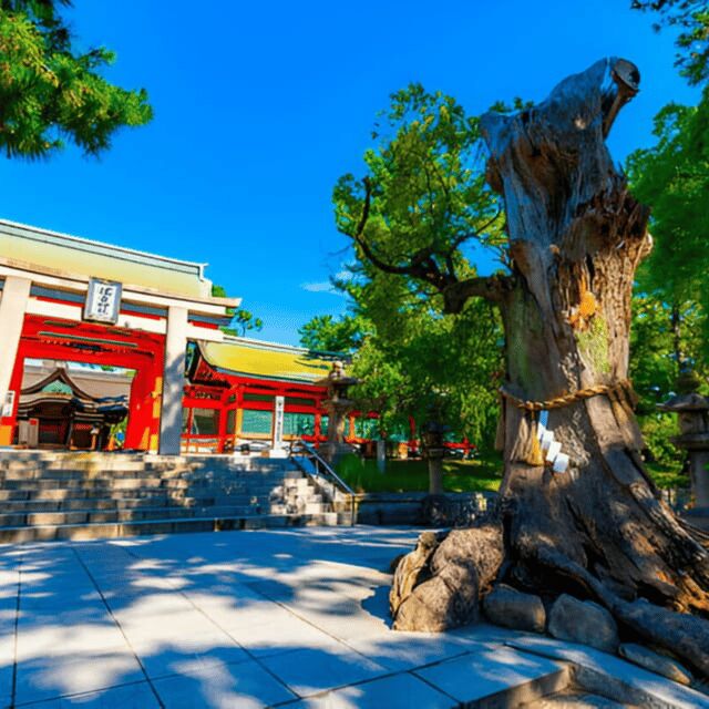 Nagano: Snow Monkey Private Instagramable Day Tour Low Price - Final Thoughts