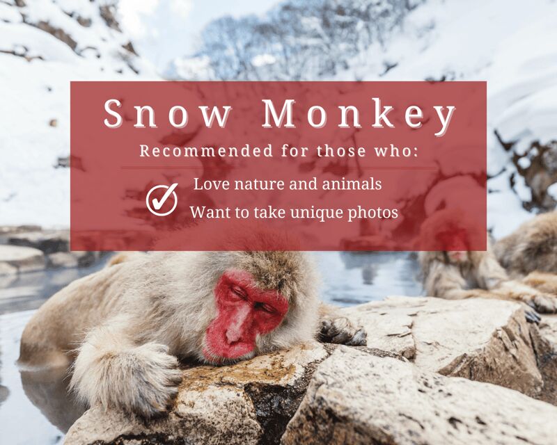Nagano: Snow Monkeys, Sake Tasting & Zenkoji Private Tour - Key Points