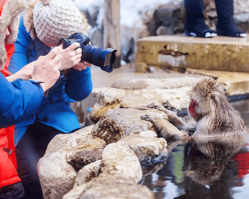 Nagano: Snow Monkeys, Sake Tasting & Zenkoji Private Tour - Discovering Nagano’s Iconic Highlights