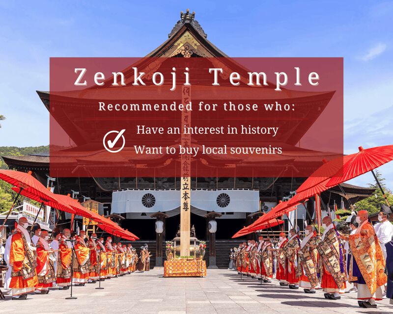 Nagano: Snow Monkeys, Sake Tasting & Zenkoji Private Tour - Who is this tour best suited for?