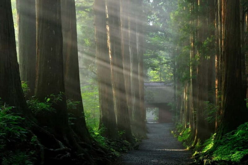 Nagano: Snow Monkeys & Togakushi Shrine Two-Spot in-One Day - FAQ