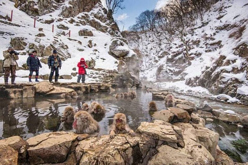 Nagano: Snow Monkeys, Zenko-ji Temple, and Lake Nojiri Tour - FAQ