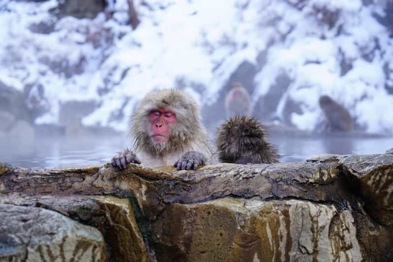 Nagano: Snow Monkeys, Zenkoji Temple & Sake Day Trip - Discovering Nagano: An Authentic Experience