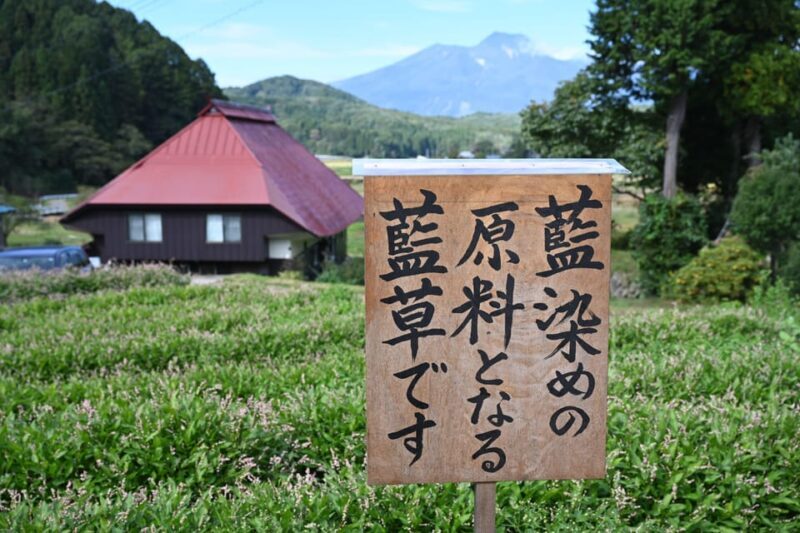 Nagano: Snowboard Riding Experience & Local Life Guided Tour - Who Should Consider This Tour?