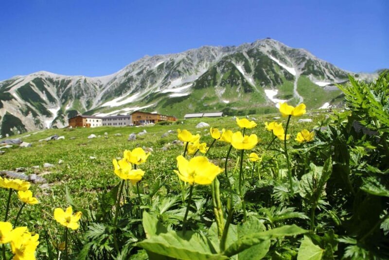 Nagano: Tateyama-Kurobe Guided Walking Tour - An In-Depth Look at the Tateyama-Kurobe Guided Walking Tour