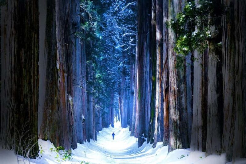 Nagano: Togakushi Shrine & Jigokudani Snow Monkey Park Trip - Key Points