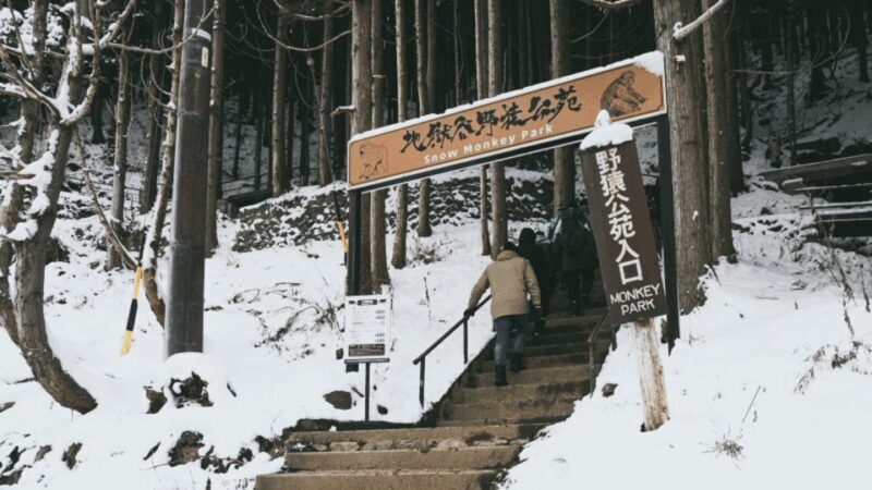 Nagano/Tokyo: Snow Monkey and Zenkoji Temple Private Tour - Key Points
