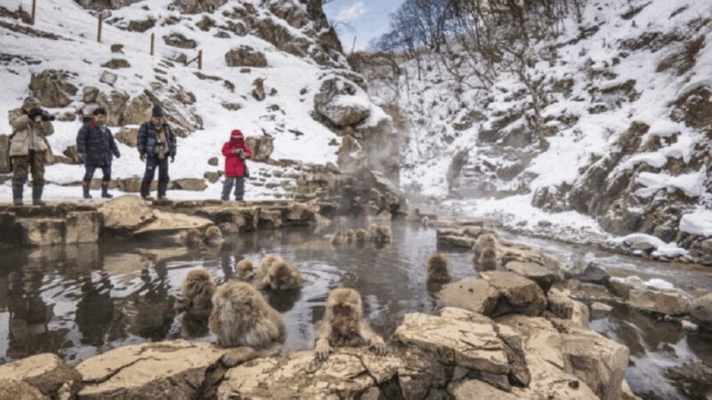 Nagano/Tokyo: Snow Monkey and Zenkoji Temple Private Tour - FAQs
