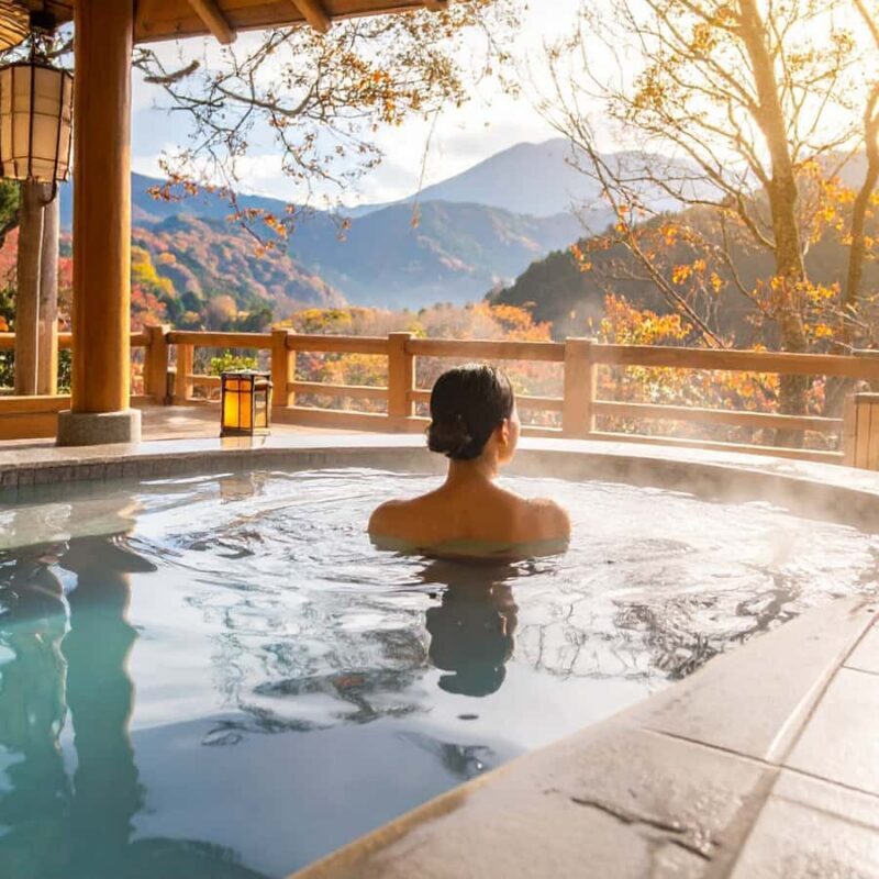 Nagano & Tokyo: Snow Monkey Park Private Tour Customizable - Who Will Love This Tour?