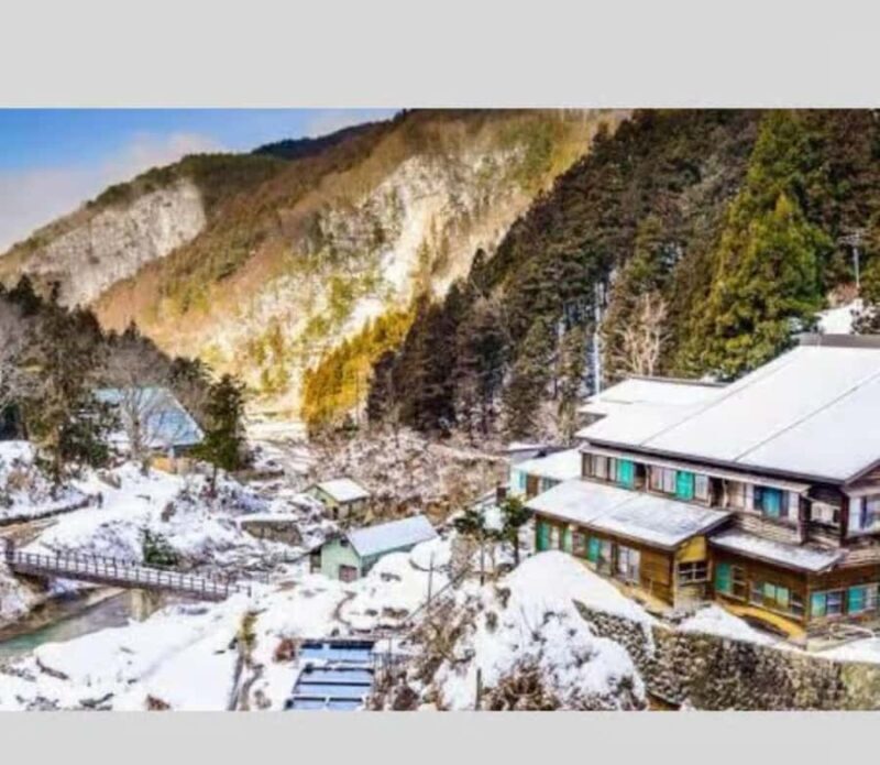 Nagano & Tokyo: Snow Monkey Private Customizable Day Tour - Key Points