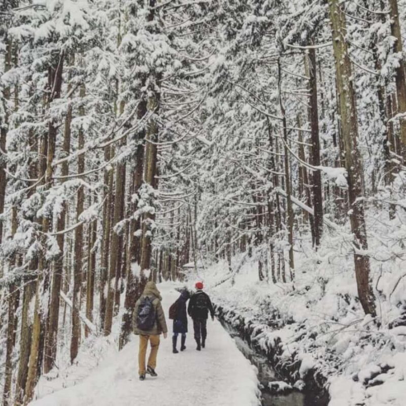 Nagano & Tokyo: Snow Monkey Private Customizable Day Tour - FAQ