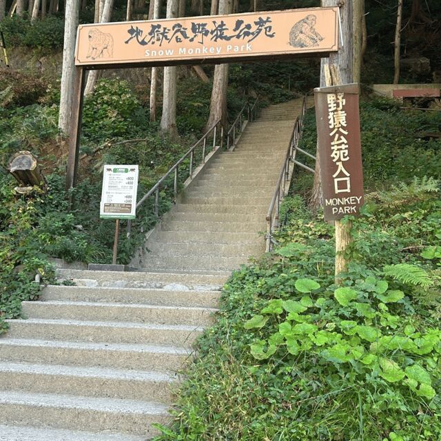 Nagano/Tokyo: Snow Monkey Private Day Tour At Lowest Rate - An In-Depth Look at the Tour Experience