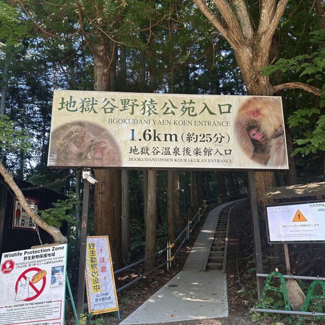 Nagano/Tokyo: Snow Monkey Private Day Tour At Lowest Rate - Practicalities and Tips