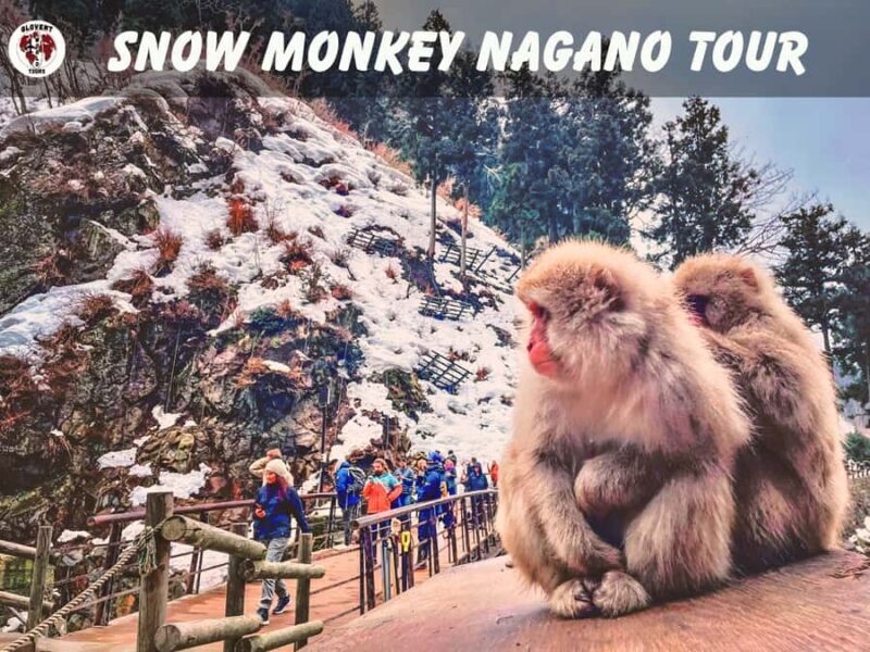 Nagano Tokyo: Snow Monkey Private Day Tour Hotel Pick & Drop - Key Points