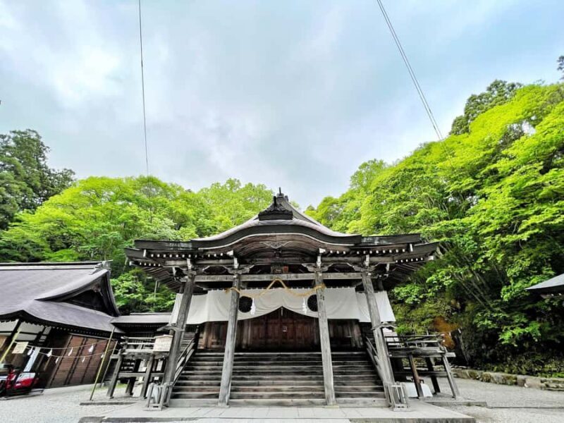 Nagano Tokyo: Snow Monkey Private Day Tour Hotel Pick & Drop - What to Expect from the Itinerary