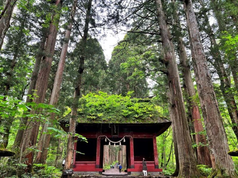 Nagano Tokyo: Snow Monkey Private Day Tour Hotel Pick & Drop - Final Thoughts: Who Will Love This Tour?