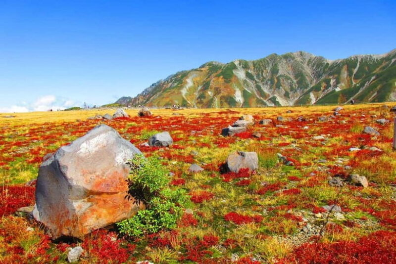 Nagano: Worlds Edge Tateyama Kurobe Alpine Route Tour - Nagano: Worlds Edge Tateyama Kurobe Alpine Route Tour – An In-Depth Review