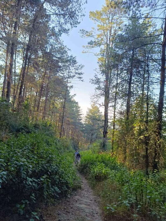 nagarkot-sunrise-changunarayan-hike-with-bhaktapur-tour