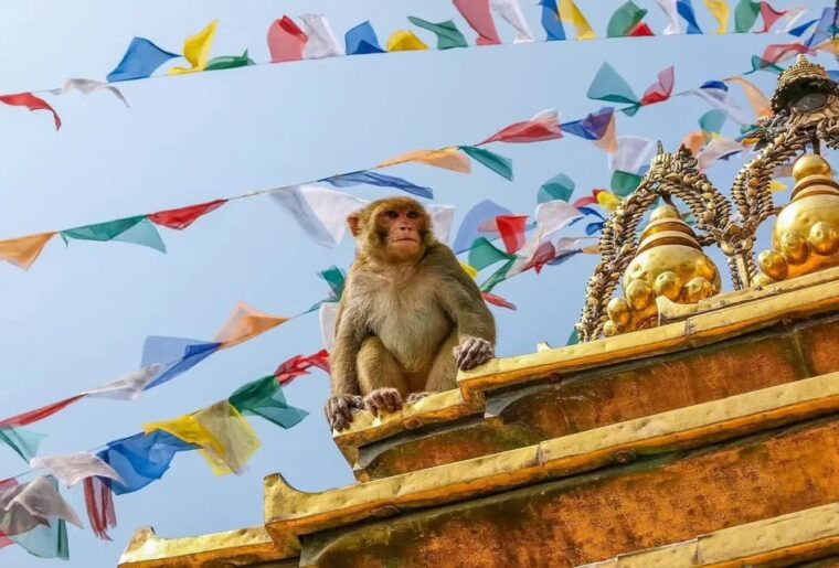 nagarkot-sunrise-with-seven-unesco-heritage-sites-day-tour
