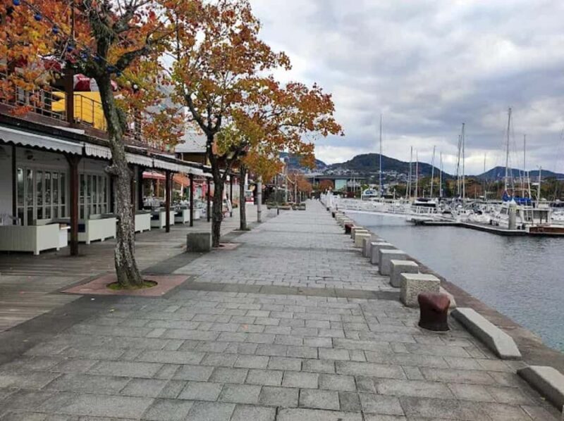 Nagasaki: Dejima Evening Tour with Mount Inasa Ropeway - An Honest Look at a Nighttime Nagasaki Experience