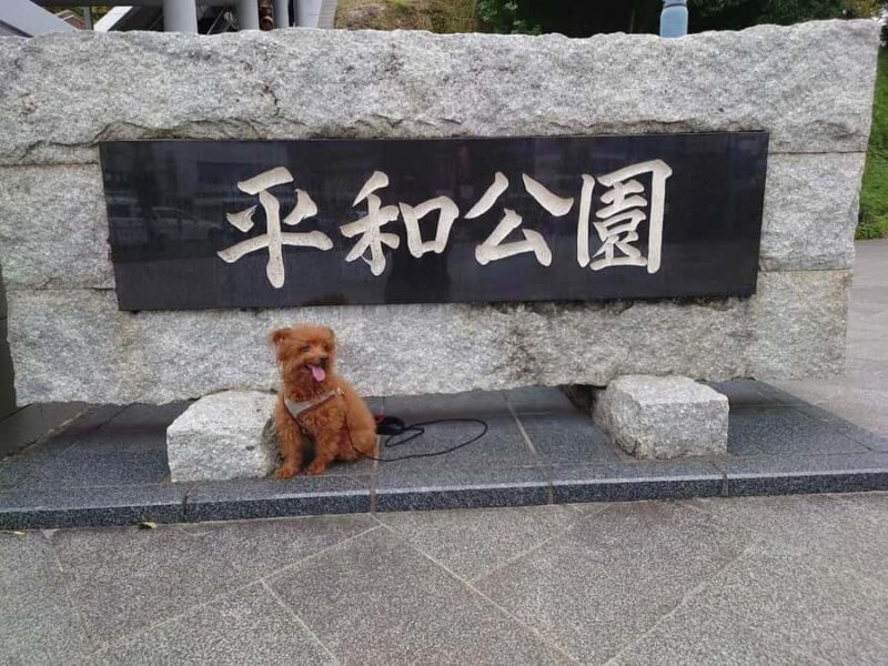 Nagasaki: Dejima, Trams and Everyday Life Walking Tour - Final Thoughts: Is This Tour Worth It?