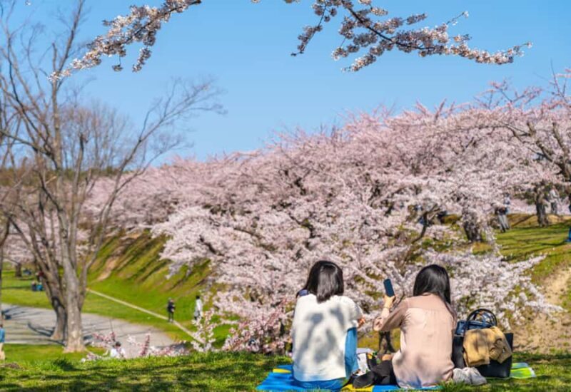 Nagasaki: Private & Custom Cherry Blossom Tour with a Local - Key Points