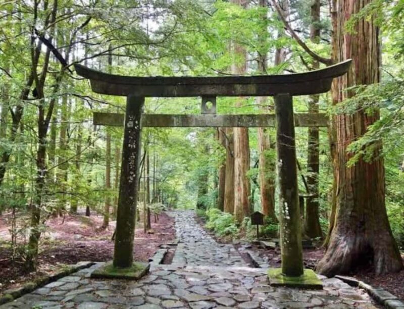 Nagasaki: Private Full-Day Peace and History Tour - Key Points