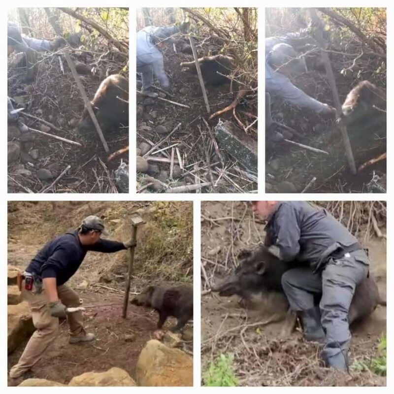 Nagasaki Sasebo: Traditional Cooking Class in Japanese House - Nagasaki Sasebo: Traditional Cooking Class in a Japanese House – A Detailed Review