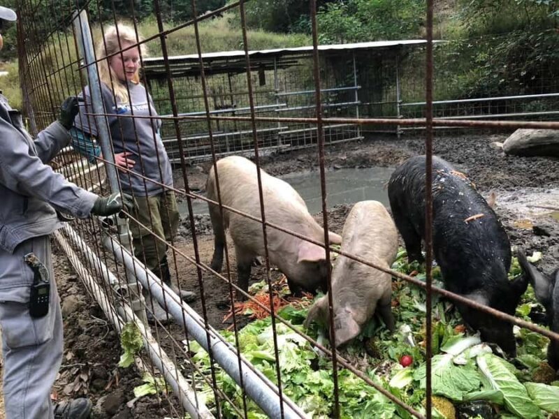 Nagasaki Sasebo: Wild Boar Miso Soup Dinner with Locals - The Setting and Atmosphere