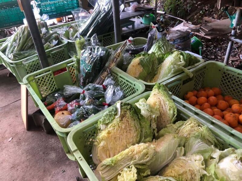 Nagasaki Sasebo: Wild Boar Miso Soup Dinner with Locals - Who Will Love This Experience?