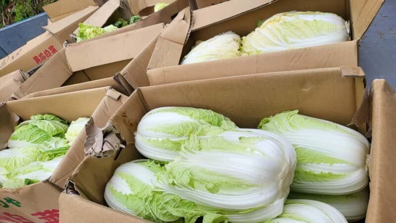 Nagasaki Sasebo: Wild Boar Miso Soup Dinner with Locals - Final Thoughts