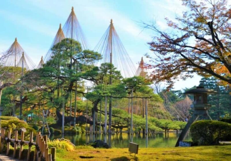 Nagoya: 2-Day Shirakawa-go, Kanazawa & Takayama Tour - The Sum Up