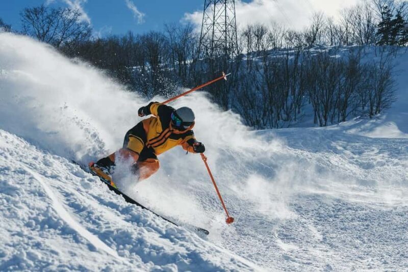 Nagoya: Dynaland Ski Resort Day Trip with Lift Ticket - Key Points